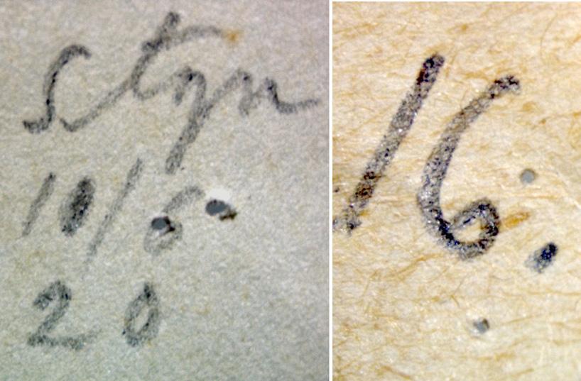 Zielke: Description of a new species of the genus Mydaea from Sweden FIGURE 2. Photograph of the two handwritten labels which were attached to the holotype of Mydaea forsslundi sp. n. Museum of Natural History, Stockholm.