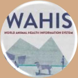 of the world animal disease situation EXPERTISE Collection and dissemination