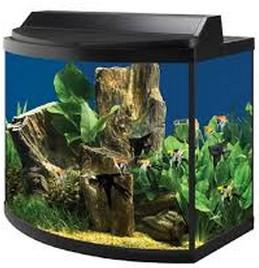 goat enclosure. What is the area of land they need for their whole project, including the goat enclosure and the path? J. Aquarium Justin s aquarium holds 25 ½ quarts of water.