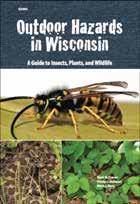 Outdoor Insect Hazards: Biting and Stinging Pests & What You Can Do About Them Outdoor Hazards in Wisconsin