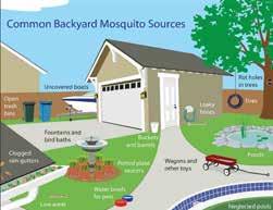 Managing Mosquito Habitat Reducing/Eliminating Breeding Areas Reduce/eliminate breeding locations Objects as small as the cap from a water bottle can serve as a breeding location!