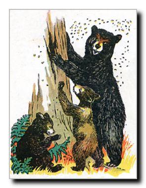 You don t remember that at all, Blackie Black Bear! Mother told you that - I heard her! And I heard her tell you that we didn t go out of the den until we were three months old!