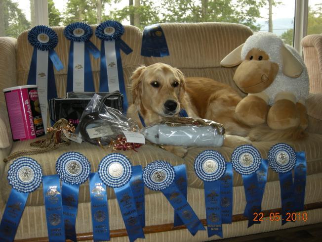 More Bragging Three Title Weekend Bella (Quinleighblu's Meant To Be RE CD AGN AGNJ CGN ADC) and Brenna Litwack had a three title weekend at the Tyee Kennel Club trials in May 2010.