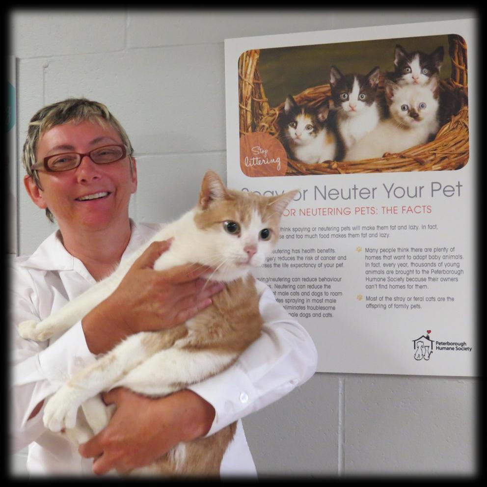 Judy O Brien Executive Director Judy O Brien with Dale the wonder cat!