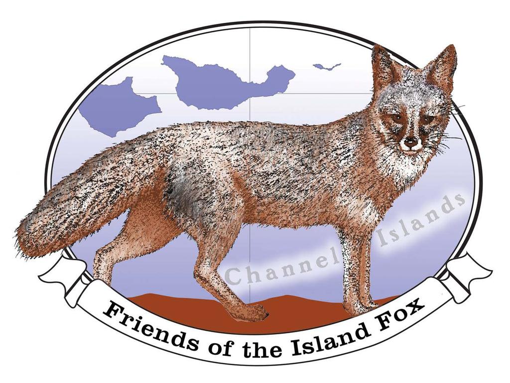 ! page 1 of 5 The island fox offers a dramatic example of how people can come together to make a positive difference for an endangered species.