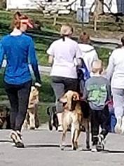 Paws for a Cause 5K