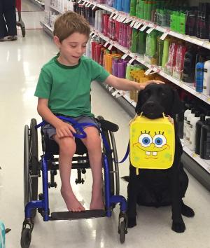 ~ OUR MISSION ~ Assistance Dogs of Hawaii is a 501c(3) charitable organization that provides children and adults with disabilities professionally trained dogs that will
