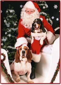 Photos with Santa is a wonderful opportunity to showcase your favorite furry friends with St. Nick!