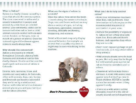 Downoad a pdf version of the Rabies Prevention Brochure I have received and read the Rabies Prevention Brochure Please read the heart worm educational material provided in your adoption paperwork.