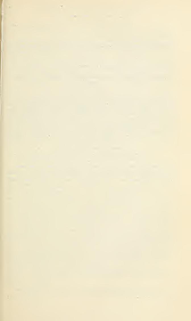AHT. 11 SIPHOSTUKMIA AND ALLIED GENERA REINHARD 11 SIPHOSTURMIOPSIS PHYCIODIS CoquiUett Sturmia phyciodis C!oqtjiixett, Revis. Tachin., p. 109, 1897.