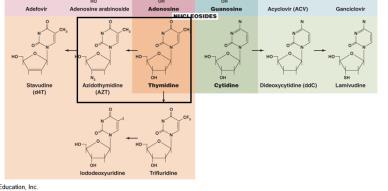 Mechanisms of Antimicrobial Action Inhibition of Metabolic Pathways Antimetabolic age