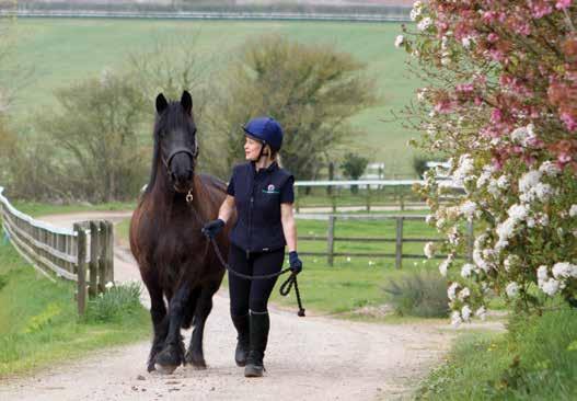 About the work of World Horse Welfare Glenda Spooner Rescue and Rehoming Centre Glenda Spooner Farm is one of World Horse Welfare s four Rescue and Rehoming Centres in the UK.