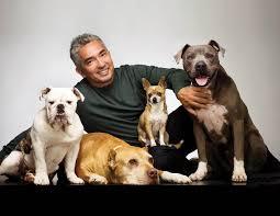 Kurier Lubelski Numer 1 03/2017 Strona 5 CESAR MILLAN Cesar Millan is a Mexican American, self-taught dog trainer. He is widely known for his television series Dog Whisperer with Cesar Millan.