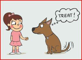 Adults should ensure that the dog has lots of positive associations with the kids.