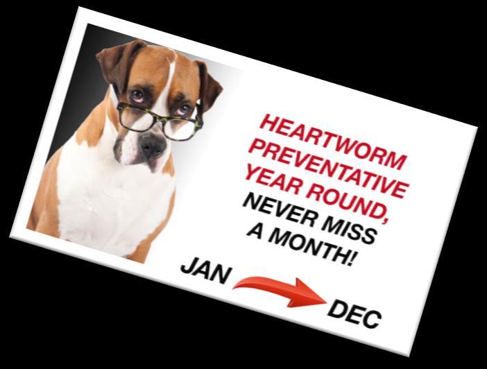 Heartworm Prevention Heartworm prevention is an important concern for every pet owner.