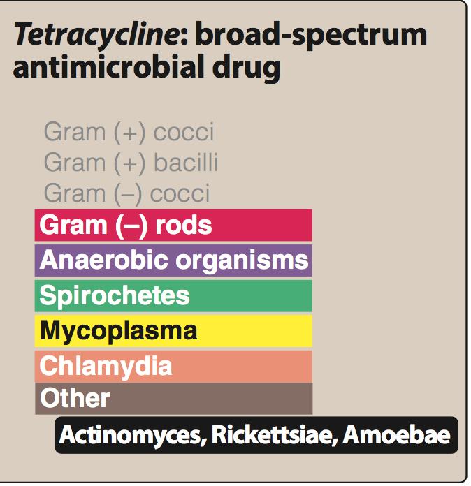 Broad-spectrum antibiotics Tetracycline,