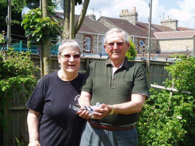 Janet and Ken Wilcox. We go from one lady (Janet Wilcox) who dreams of breaking her bridesmaid position to a fancier who also deserves to take the 1 st Open spot, Andy Parsons from Salisbury.