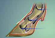 A normal sole and bulb sole are between five and seven centimetres thick.