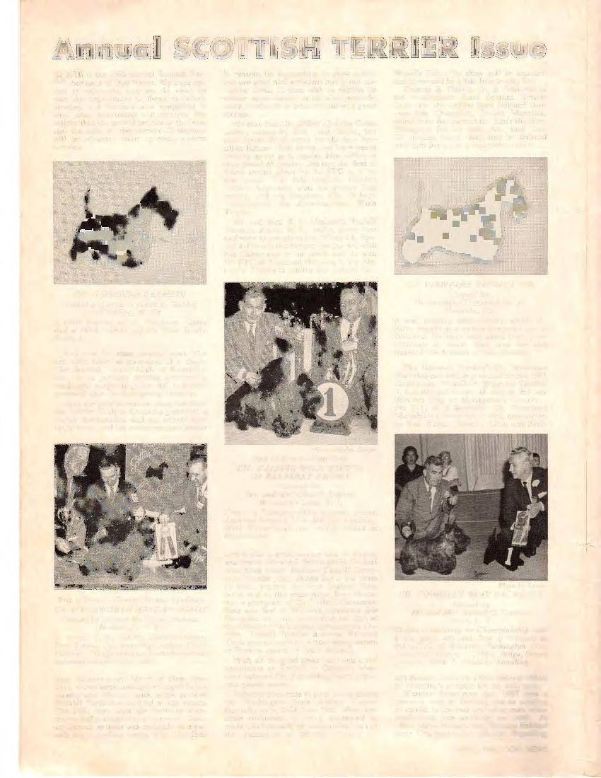 Annual SCOTTISH TERRIER Issue HERE is the 1962 annual Scottish Terrier issue of Doo NEWS.