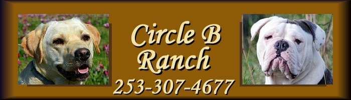 Puppy Sales Contract Breeder: Circle B Ranch LLC Address: 32109 Webster Rd E Eatonville WA, 98328 Phones: 253-307-4677 Buyer: Address: City, State & Zip: Phone # BASIC CONTRACT PROVISIONS: a.