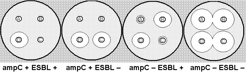 A = CPD (cefpodoxime), B = CPD + ESBL inhibitor, C = CPD + ampc inhibitor, D = CPD + both inhibitors ESBL positive: B and D larger than A and C (difference 5 mm and more) ampc positive: C and D