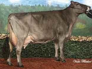 Leesburg, IN, USA Herd Life 104 Milking Speed 104 Somatic Cell Score 3.