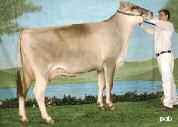 %RK Daughters 144 Milk -191 21% Lactations 239 Fat +19 +0.33 78% Reliability 93% Protein +11 +0.