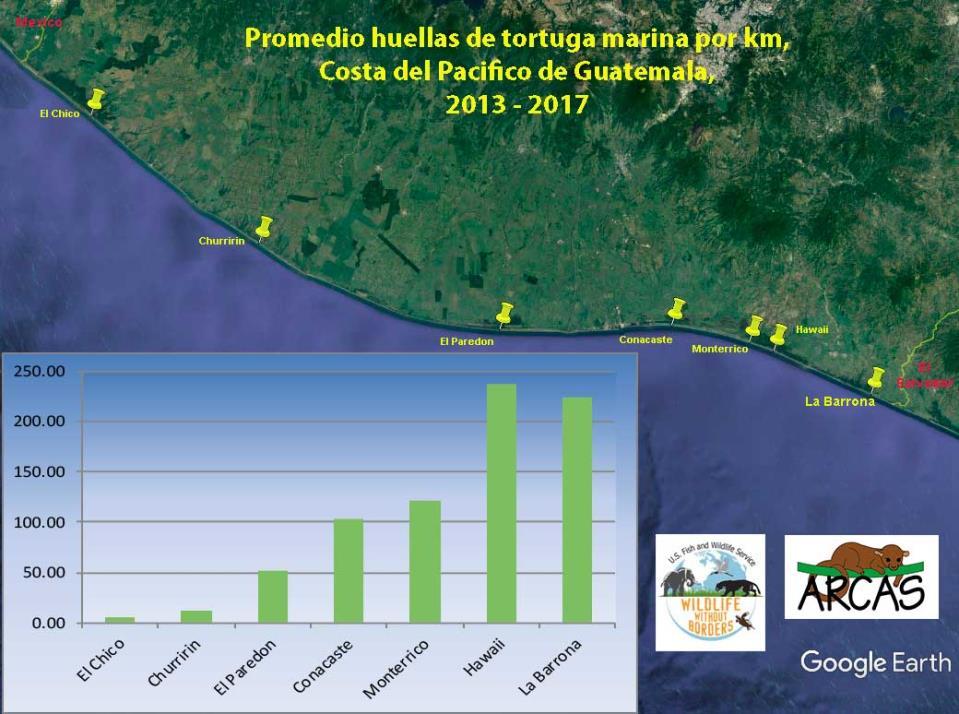 4. Olive ridley nesting density is much higher in the southeast than in the southwest, with the peak area being Hawaii, followed by La Barrona and then Conacaste.