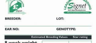 Terminal Sire Pen Card * A. N. Other 117 Using Estimated Breeding Values (EBVs) Z18 2.97 6.52 4.32-0.