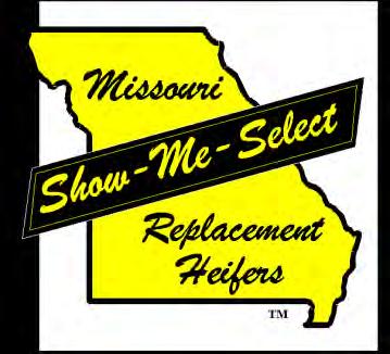 SHOW-ME-SELECT TM REPLACEMENT HEIFER SALE 370 Crossbred & Purebred Heifers November 19, 2010 at 7 PM Joplin Regional Stockyards I-44 East of Carthage, MO at Exit 22 Video preview and sale may be