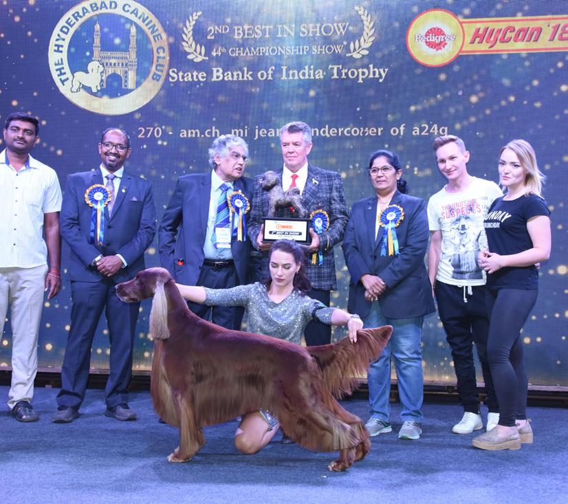International Championship Cat Shows FCI & HCF International