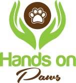 CONTACT DETAILS: E-Mail: info@handsonpaws.com.au Web: www.handsonpaws.com.au Mobile: 0431 948 208 In This Issue From the Editor. 3. Archie s Retirement Party 4. Top Dog Spots. Our Beaches 5.