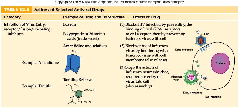 Antiviral drug structures and their mode of