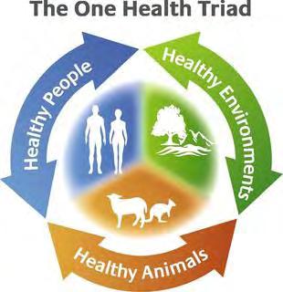 Sustainable Development : Health target AMR can compromise the achievement of the Sustainable Development Goals, affecting health security, poverty, economic growth and food security 1 1.