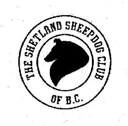 Shetland Sheepdog Cl