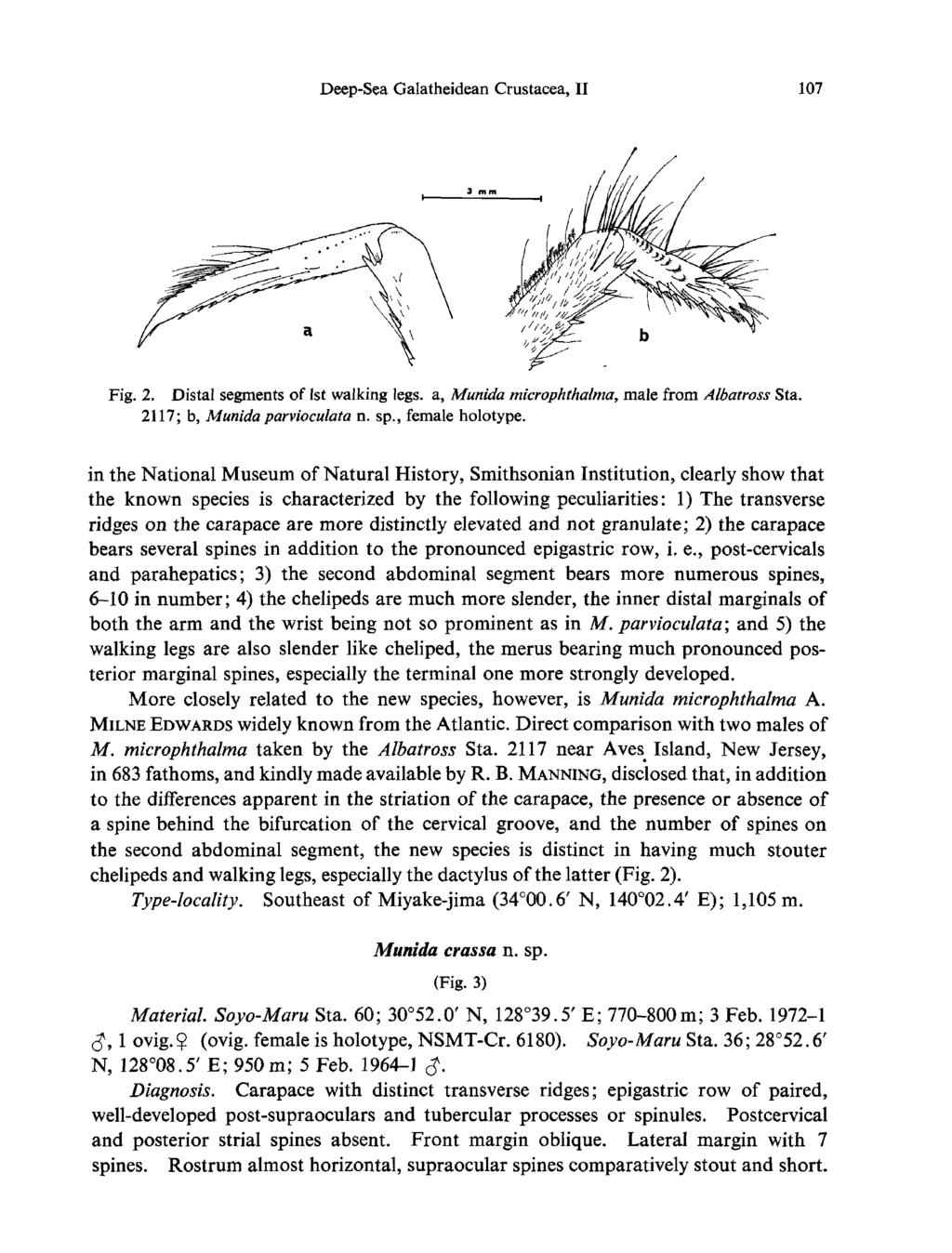 Deep-Sea Galatheidean Crustacea, II 107 Fig. 2. Distal segments of 1st walking legs, a, Munida microphthalma, male from Albatross Sta. 2117; b, Munida parvioculata n. sp., female holotype.