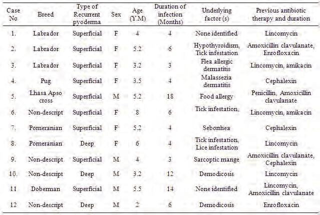 Table 1. Clinical data of 12 dogs with recurrent pyoderma superficial pyoderma while three had recurrent deep pyoderma.