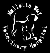 Small Animal Hospital S Burlington Your four-legged furry friends are more than just pets, they are a part of your life and your family.