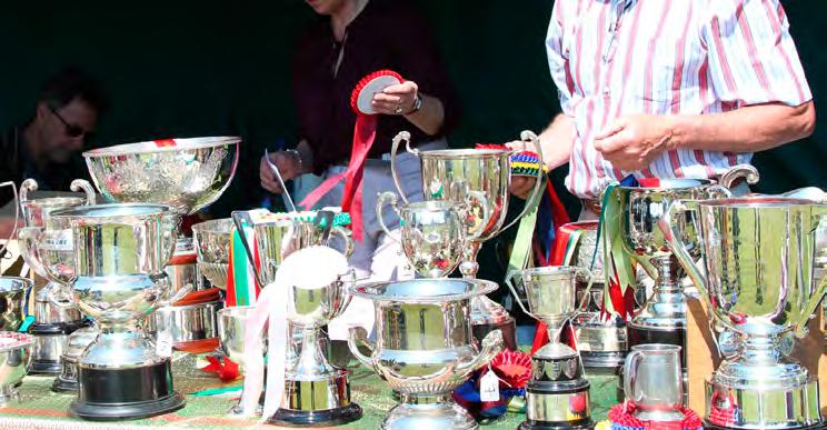 Junior Dog OUBOROUGH CUP for Intermediate Dog HARRIS RORY MEMORIAL TRAY for Open Dog KILCULLEN DRUIDH CUP for Champion Dog THE MORGAN CUP for Veteran