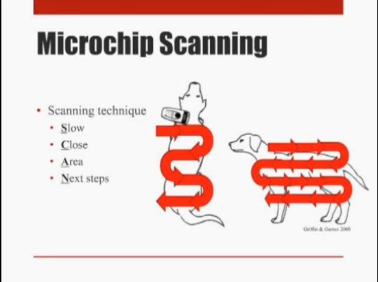 Scan for Microchips