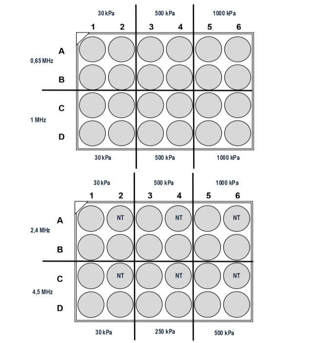 Figure 1 Spatial distribution of the different experimental conditions in the 24-well plate.