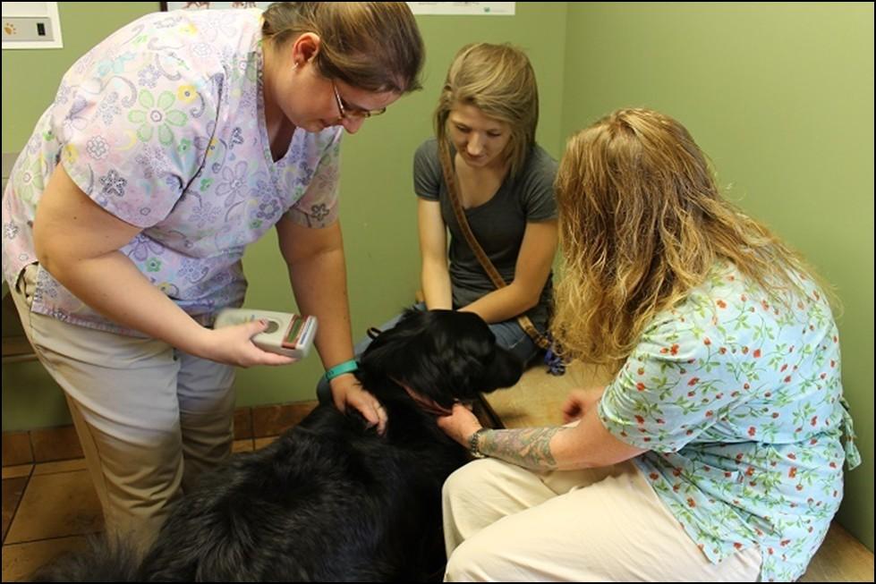 The Cambridge Minnesota Kennel Club provided the Isanti County 4-H dog program participants with microchips for their