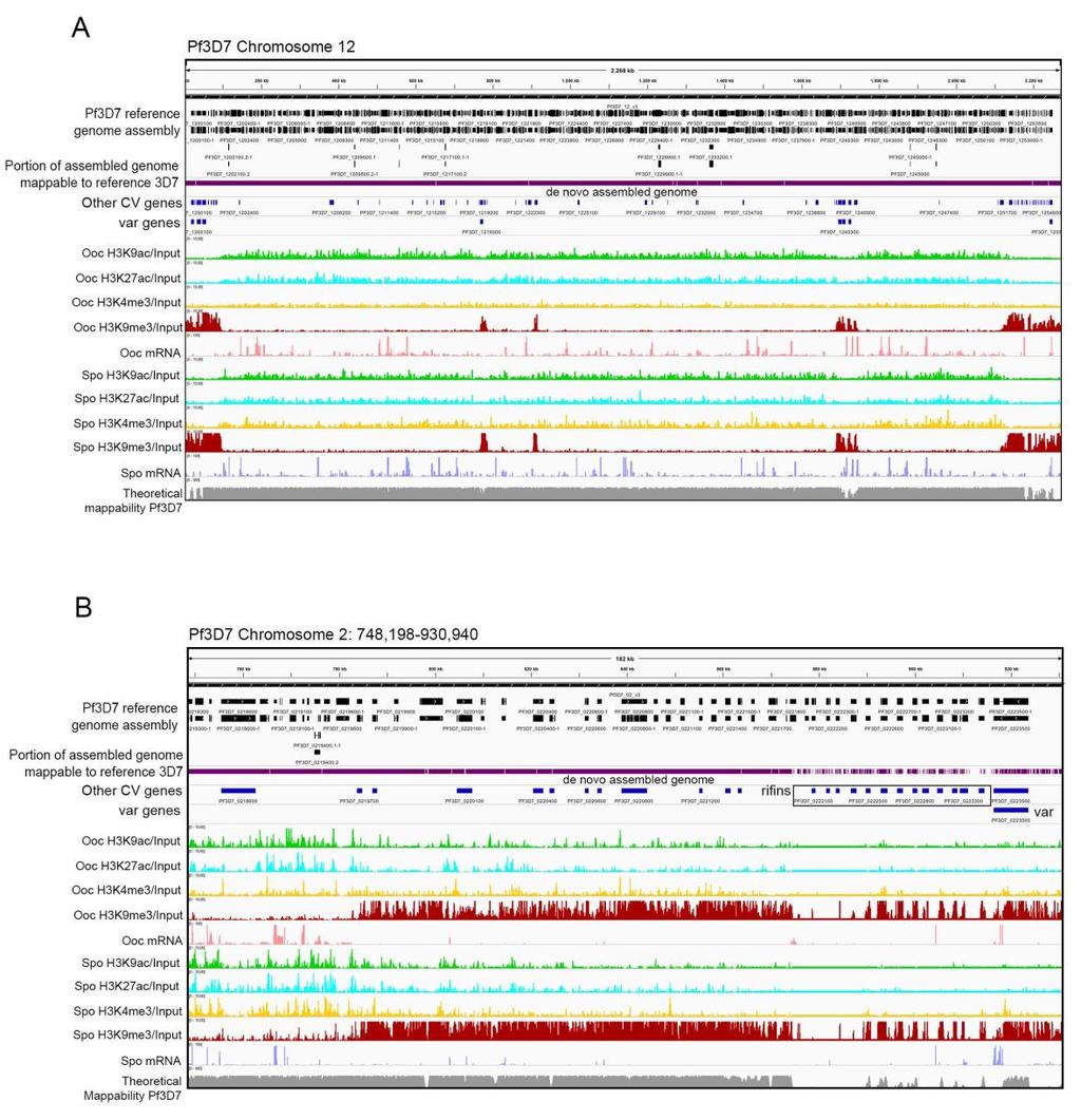 Figure S2. Coverage and mappability of the genome of Plasmodium field isolates from Burkina Faso assembled de novo compared to the 3D7 reference genome. A.