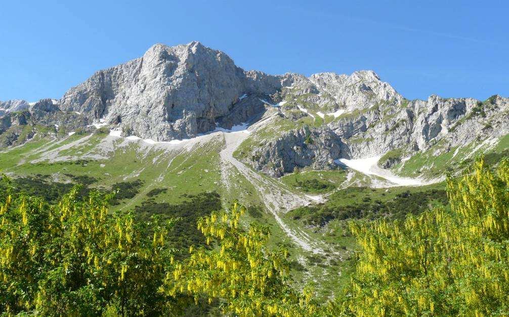 Where The first project phase took place in the Orobie alps, inside the regional park, a very special place for biodiversity and for rare species.