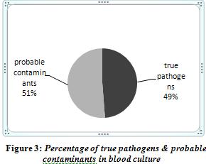 Pseudomonas species Percentages of true pathogens and probable contaminants in blood culture are shown in Figure 3.