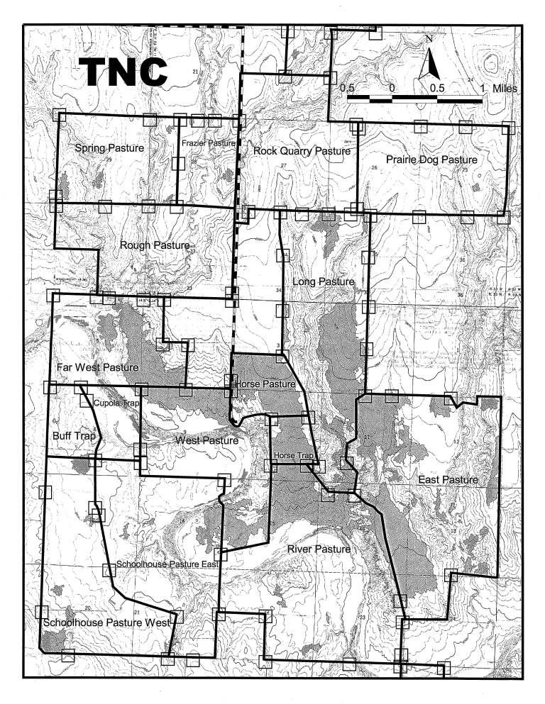 Figure 2. Pasture map of TNC s Smoky Valley Ranch.