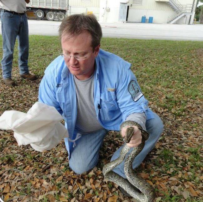 Figure 6: Extension Agent Ken Gioeli demonstrates catch techniques on this wild-caught rock python.