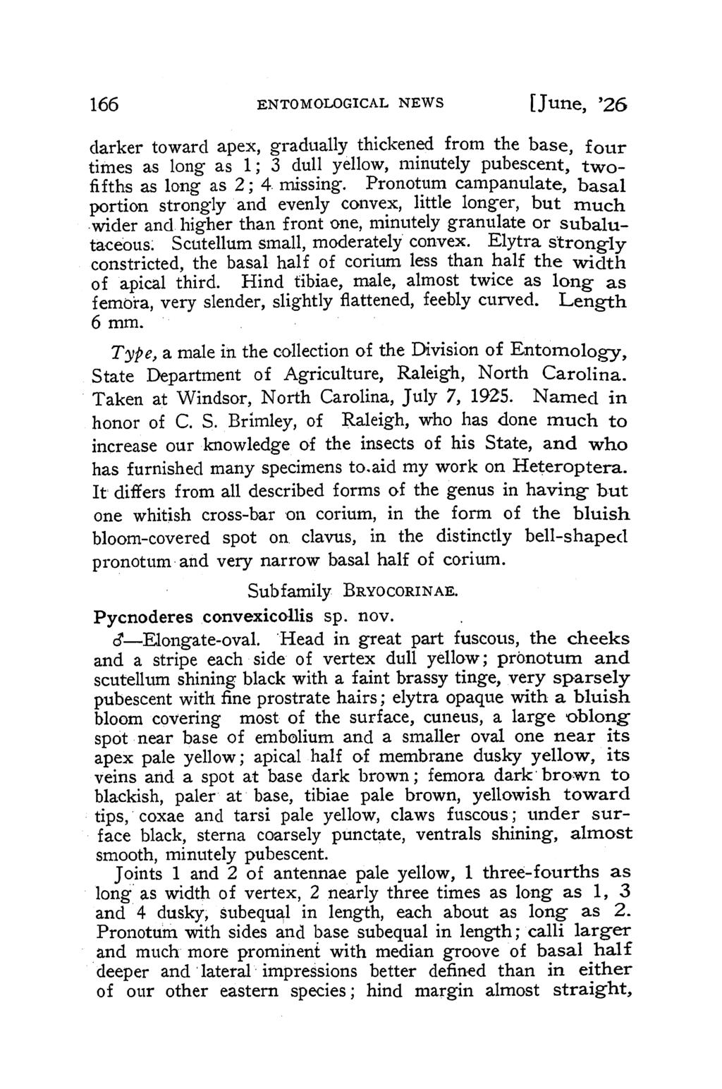166 ENTOMOLOGICAL NEWS [June., '26 darker toward apex, gradually thickened from the base, four times as long as 1; 3 dull yellow, minutely pubescent, twofifths as long as 2; 4. missing.