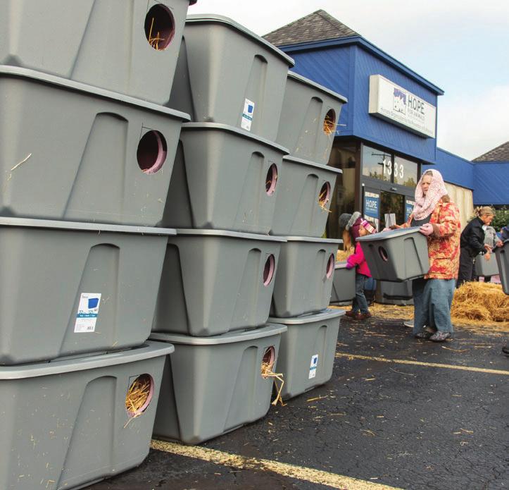 Visitors can help assemble outdoor cat shelters that we distribute throughout the winter here at H.O.P.E.