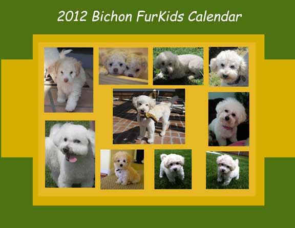 org Or you can send a check to: Bichon FurKids Calendar 6965 El Camino Real, #105-425 La Costa, CA 92009
